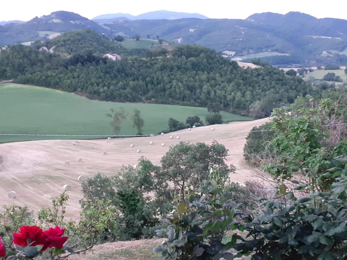 Ca' Gulino - Urbino - Villa Con Minipiscina In Borgo Antico Εξωτερικό φωτογραφία