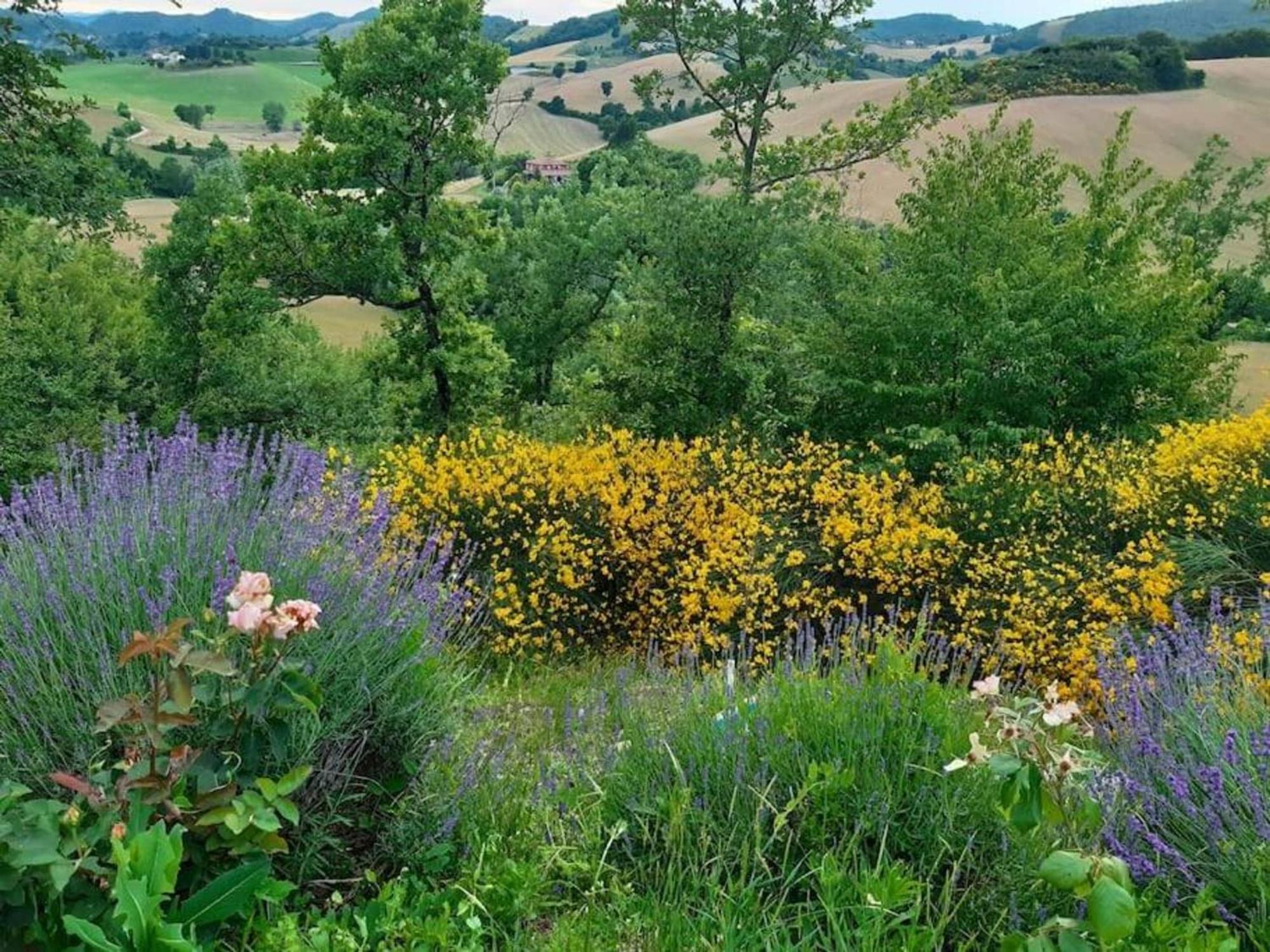 Ca' Gulino - Urbino - Villa Con Minipiscina In Borgo Antico Εξωτερικό φωτογραφία